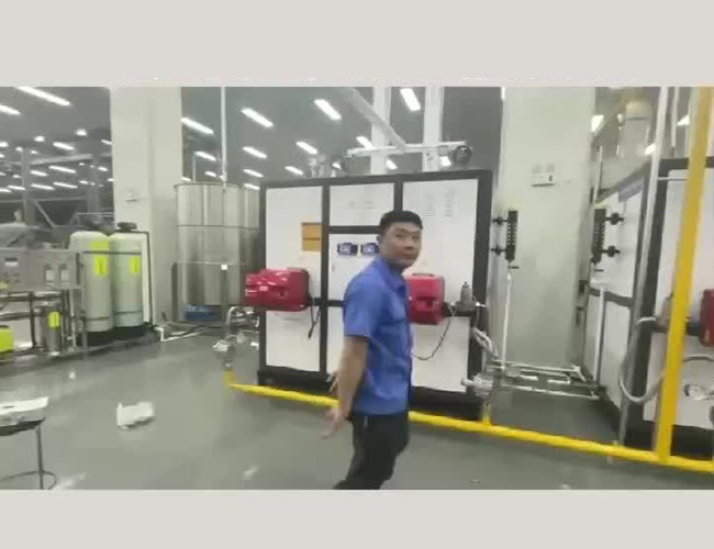 河北霸州做堅(jiān)果零食、飲料客戶用2臺1噸燃?xì)庹羝l(fā)生器配套殺菌鍋、烘干線安裝完成